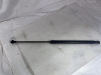 Tailegate gas filled strut