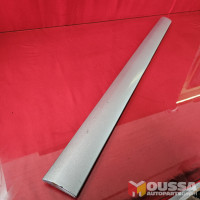 Door molding trim cover