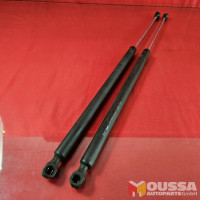 Tailgate gas pressure strut