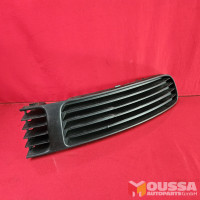 Middengrille bumpergrille