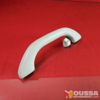 Grab handle with hook