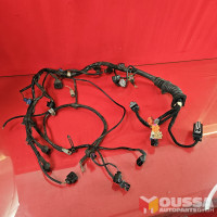 ECU module wiring harness