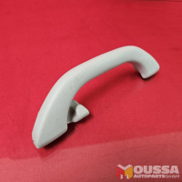 Grab handle with hook