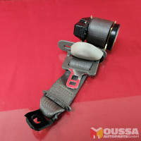 Seatbelt assy