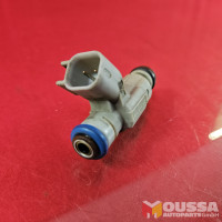 Injection nozzle injector