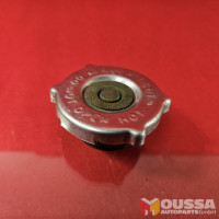 Radiator cap lid lock