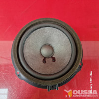 Door speaker