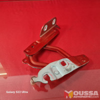Bonnet hinge strut