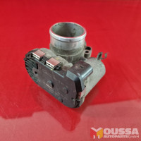 Throttle body valve