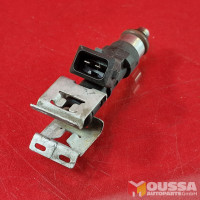 Benzin injector