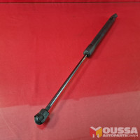 Tailgate gas pressure strut