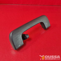Roof Grab handle