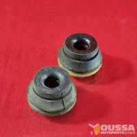 Radiator insulator mount