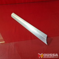 Door trim molding