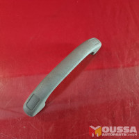 Grab handle
