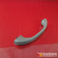 Grib handle 