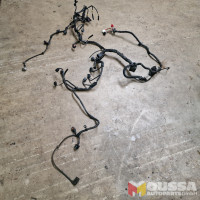 Engine wiring loom harness cable set