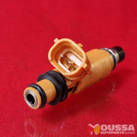 Injection nozzle injector