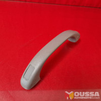 Grab handle