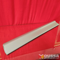 Door trim strip