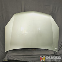 Bonnet