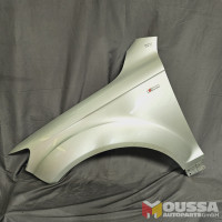 Fender (wing)