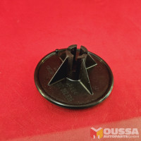 Spare wheel securing bolt cover