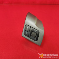 Steering wheel control button