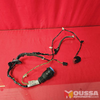 Door electric wiring loom