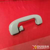 Grab handle with hook