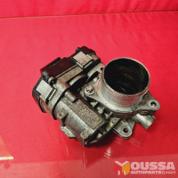 Throttle body throttle valve