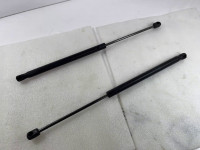 Set of 2 tailgate spring strut