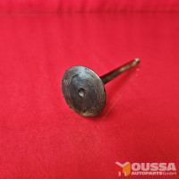Inlet intake valve