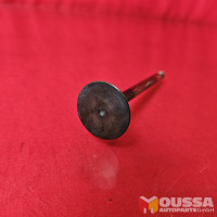 Exhaust valve