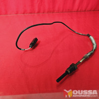 Exhaust Gas Temperature Sensor