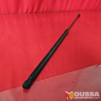 Gas pressure hood lift