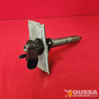 Injection nozzle injector