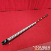 Gas filled strut