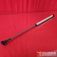 Tailgate gas filled strut