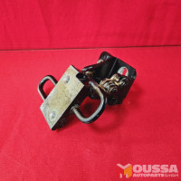 Door lower hinge