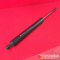 Tailgate hinge pressure strut