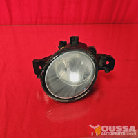 Fog Light