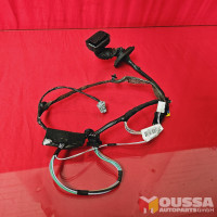 Wiring harness door