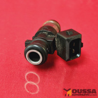 Petrol Injector