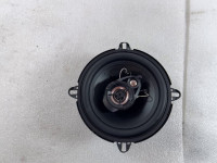 Renegade speaker