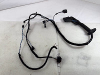 Wiring harness for door