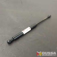 Gas spring strut