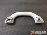 Grab handle vorne links