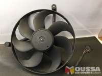 Radiator fan electric motor
