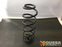 Coil spring rear